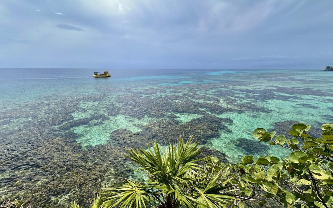ocean with boat