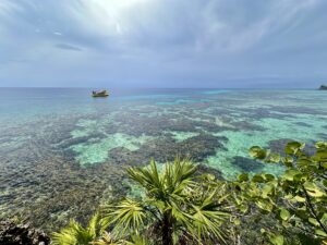 ocean with boat