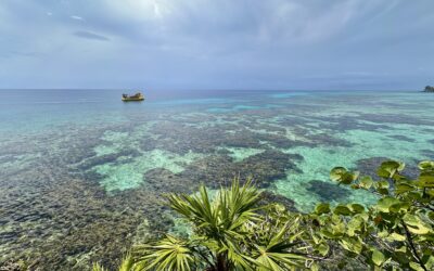 Saltwater Cleanse: Is the Ocean the Only Place We’re Allowed to Fall Apart?