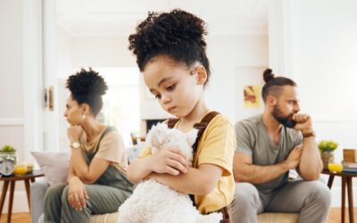 The Power of Documentation in Custody Cases: Building Your Paper Trail